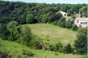 Unser Baugrundstück, ein ehemaliges Weizenfeld eines Bauern aus dem Dorf Unser Baugrundstück