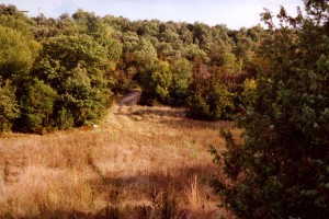 Das Baugrundstück in Labastide de Virac Das Baugrundstück in Labastide de Virac