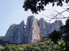 dentelles