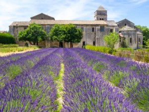 Saint-Paul-de-Mausole, Saint-Rémy-de-Provence