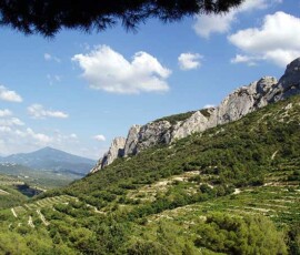 dentelles2